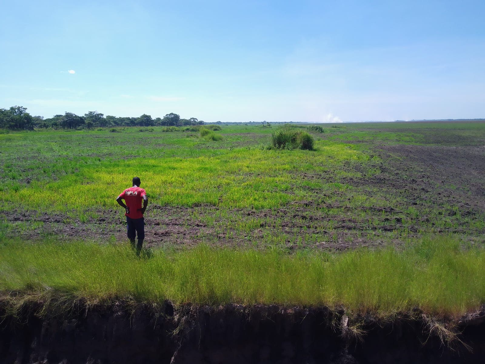 Overview of the Agricultural Project